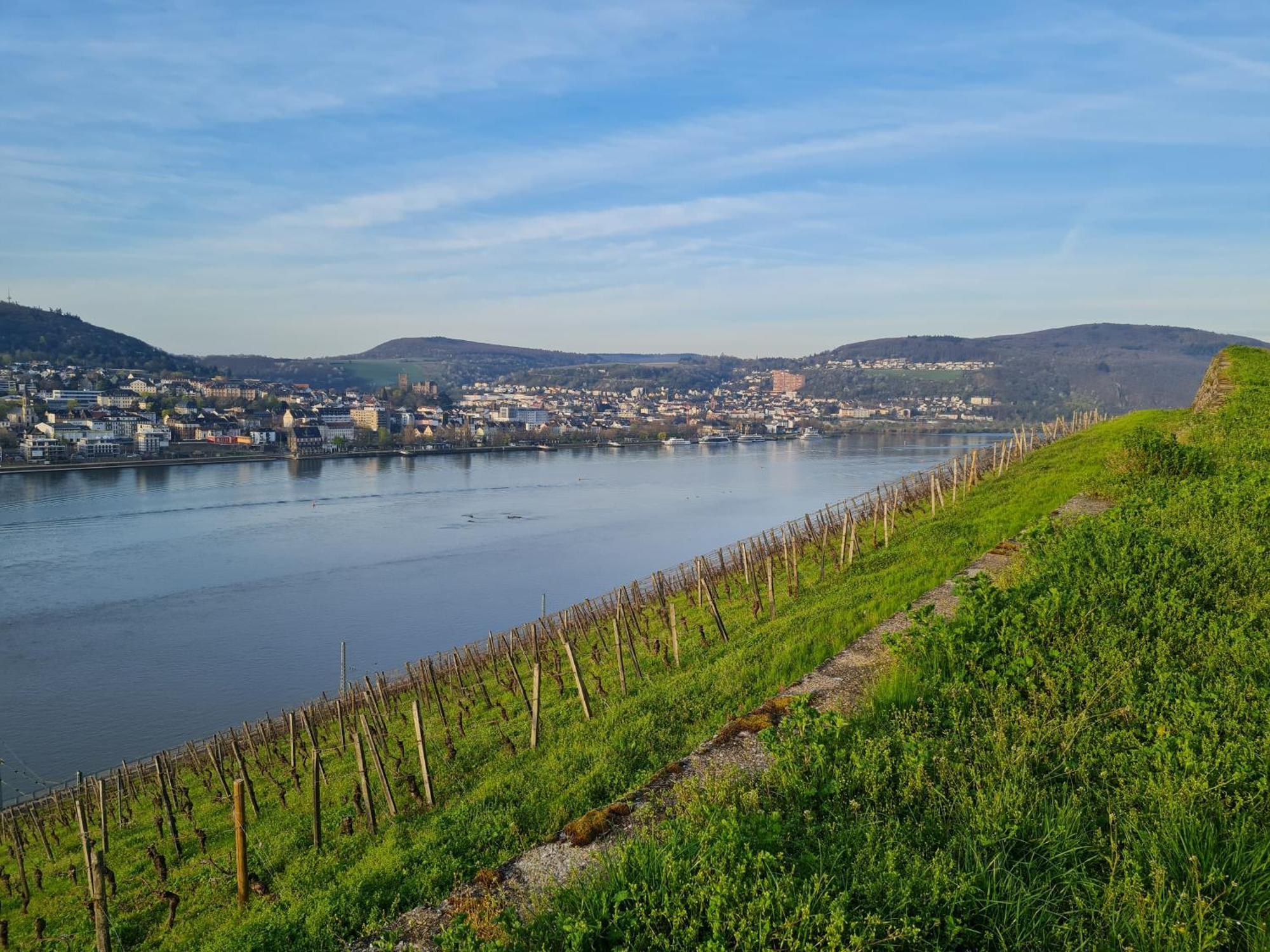 Ferienwohnungen Am Markt Ruedesheim am Rhein Luaran gambar